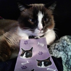 Alternative view of Custom Cat Socks