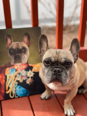 Custom Pet Canvas