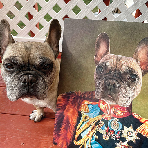 The-Veteran-Pet-Portrait